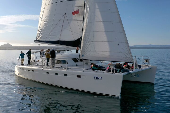 Luxury Sailing - Māori Rock Carvings - Taupo Sailing Adventures - Photo 1 of 21